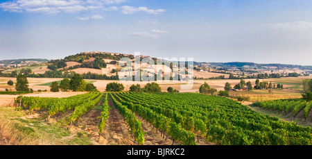 Vigneto nel sud-ovest della Francia con la città di Lauzerte su per la collina di Tarn et Garonne regione, Francia, Europa - tardo pomeriggio Foto Stock