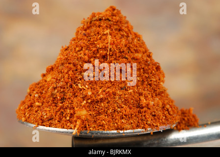 Arrosto di tandoori spezie in polvere (semi di coriandolo, di cumino, aglio, peperoncino, Zenzero, sale, cardamomo, bay, anice stellato, cannella) Foto Stock