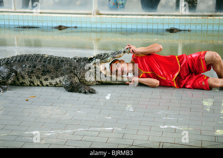 PATTAYA, Tailandia - 9 novembre: 'Show di coccodrilli' attore mette la testa nella bocca del coccodrillo durante uno spettacolo in un zoo Foto Stock