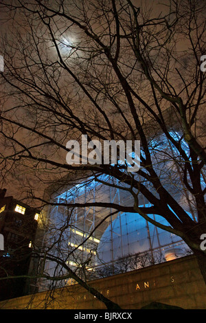 Centro Rose spazio di terra Foto Stock