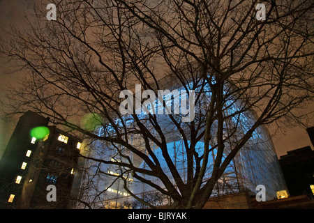 Centro Rose spazio di terra Foto Stock