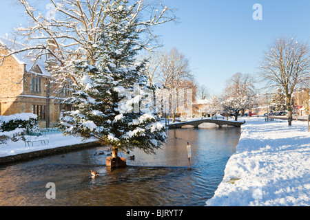 Neve d'inverno sull'albero di Natale nel fiume Windrush nel villaggio di Cotswold di Bourton sull'acqua, Gloucestershire UK Foto Stock