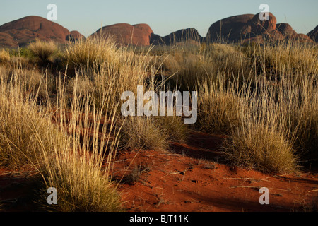 Formazione di arenaria Olgas o Kata Tjuta a-Uluru-Kata Tjuta National Park, il Territorio del Nord, l'Australia Foto Stock