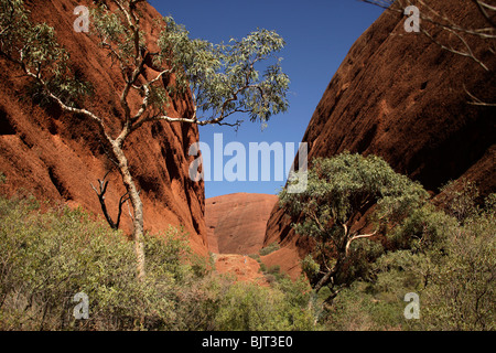 Valle del vento in corrispondenza di Uluru-Kata Tjuta National Park, il Territorio del Nord, l'Australia Foto Stock