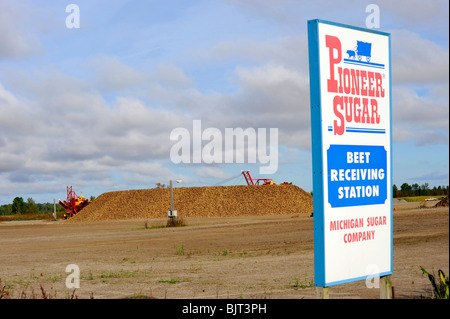 Area di raccolta per i prodotti agricoli raccolti di barbabietole prima della lavorazione a Bad Axe Michigan dalla Pioneer Sugar Company Foto Stock