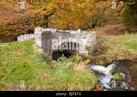 Autunno a Exmoor - Osono acqua che scorre al di sotto del rapinatore, ponte vicino osono, Somerset Foto Stock