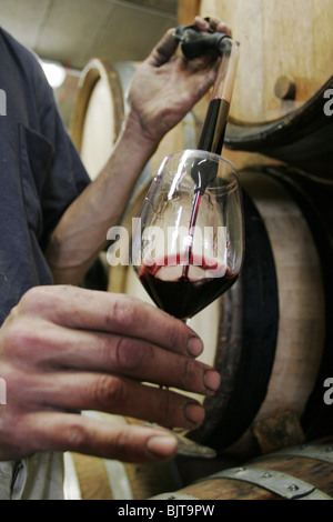 Il vino dalla botte è testato ina grotta in Provenza, Francia Foto Stock