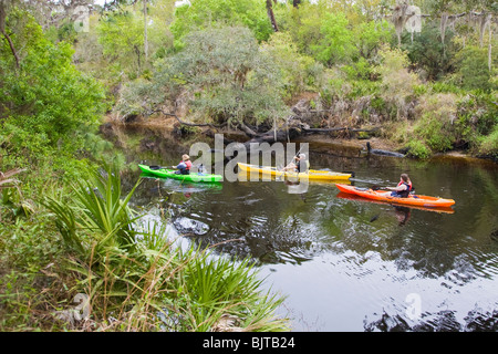 Persone fare kayak in Myakka River pur dormendo Turtle preservare in Florida Venezia Foto Stock