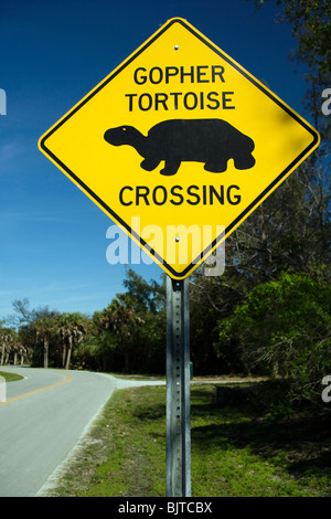 Gopher attraversamento tartaruga segno - Sanibel Island, Florida USA Foto Stock