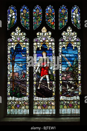 Una finestra di vetro colorato da William Morris & Co, raffiguranti Matteo 13: 3, il seme seminatore, Chiesa di Santa Maria, South Walsham, Norfolk Foto Stock