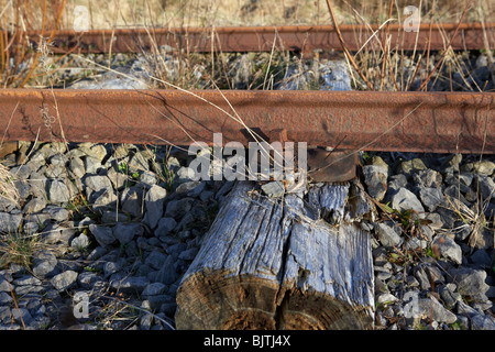 Vecchio abbandonato grande sud e ovest linea ferroviaria collegata al usurati traversine di legno nella contea di Sligo, Repubblica di Irlanda Foto Stock