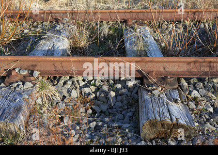 Vecchio abbandonato grande sud e ovest linea ferroviaria collegata al usurati traversine di legno nella contea di Sligo, Repubblica di Irlanda Foto Stock