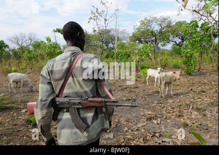 Del sud-Sudan, Cuibet vicino a Rumbek , tribù Dinka, pastore armati con Kalashnikov AK-47 proteggere i loro zebù vacche da bovini ostile raider Foto Stock