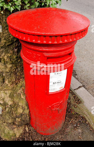 Insolito rossa piccola cassetta postale del Regno Unito con molto vecchio albero che cresce intorno ad esso Foto Stock