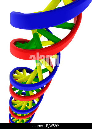 La doppia elica del DNA modello Foto Stock