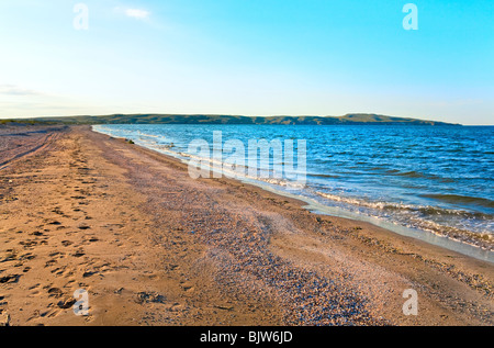 Estate mare costa sabbiosa (Azov Mare, Crimea, Ucraina) Foto Stock