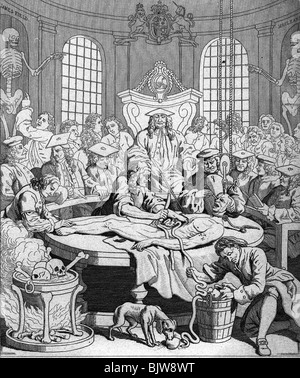 Medicina, anatomia, dissecazione, dissecazione di un criminale giustiziato, caricatura, incisione di rame di William Hogarth, 18th secolo, storico, storico, dissecato, tavolo, medico, medico, medico, medico medico /M.D./, medico, medico, medico, medico, medico, esame post mortem, postmortem, autopsia, esame post mortem, PM, necroscopia, persone, necroscopia, necrossies, necrossies, necrossies, persone, necroscopia, necrossies, necrossies, necrossies, Foto Stock