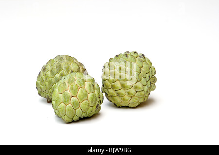 Close-up di zucchero-mele (Annona squamosa) su sfondo bianco Foto Stock