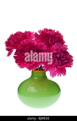 Garofani rosa in un vaso verde isolato su bianco Foto Stock