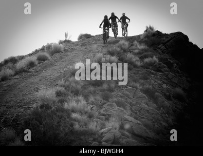 Discesa con la mountain bike Foto Stock