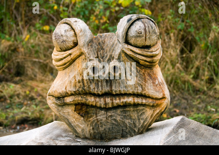 Scultura in rana al Daisy Nook Country Park, Failsworth, Greater Manchester, Inghilterra, UK Foto Stock