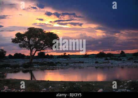 Drammatica colorato Cielo e nubi al tramonto riflesso in waterhole Foto Stock