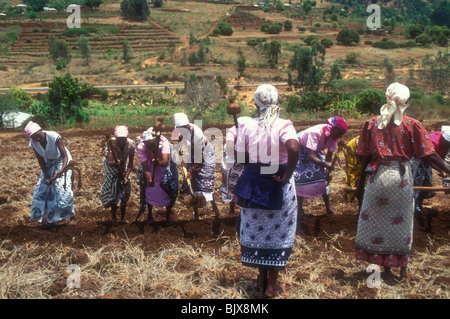 Gruppo di donne a cantare mentre si lavora nel campo a Machakos, in Kenya Foto Stock