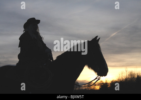 Donna e Welsh-Cob D Foto Stock