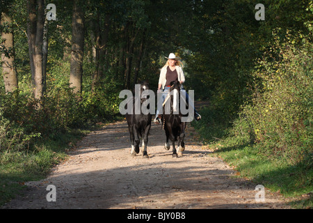 La donna corse Welsh-Cob D Foto Stock