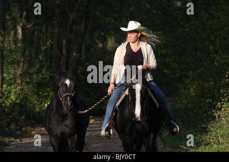 La donna corse Welsh-Cob D Foto Stock