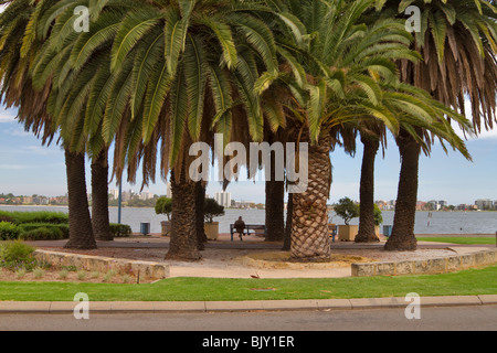 Posto all'ombra al Waterfront Park su Riverside Drive, Perth, Western Australia. Foto Stock