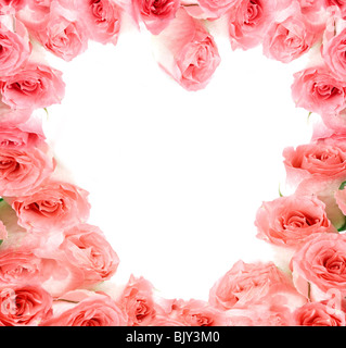 Quadro da Roses. Isolamento su bianco. Foto Stock