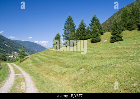 Vista estiva della Val di Sole, Trentino, Italia Foto Stock