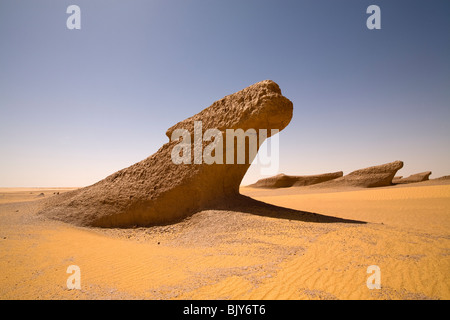 Close up Yardangs, o fango Lions, a metà giornata sole nel deserto del Sahara, in rotta verso il Gilf Kebir, deserto occidentale d'Egitto Foto Stock