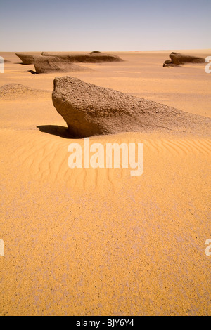 Yardangs, o fango Lions, a metà giornata sole nel deserto del Sahara, in rotta verso il Gilf Kebir, deserto occidentale d'Egitto Foto Stock