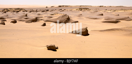 Paorama di Yardang, o fango lion campo a metà giornata sole nel deserto del Sahara, in rotta verso il Gilf Kebir, deserto occidentale d'Egitto Foto Stock