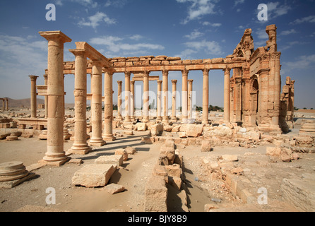 Colonnato presso le rovine di Palmyra, Siria Foto Stock