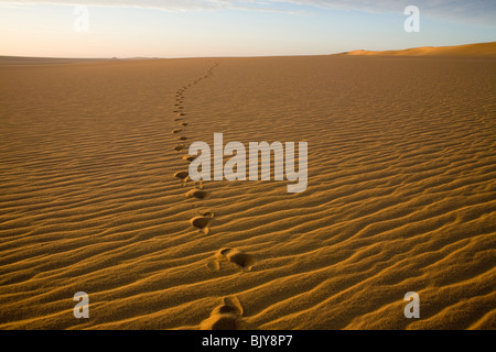 Orme attraversando increspata vergine letto di sabbia nel Gilf Kebir, Western Desert, Egitto Foto Stock