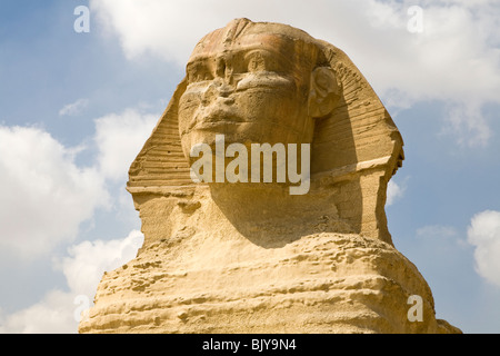 Testa della Grande Sfinge a Giza visto dalla Sfinge Enclosure, Il Cairo, Egitto Foto Stock