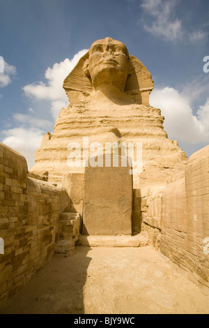 Il sogno Stele di Thuthmosis IV tra le zampe della Sfinge come si vede dalla Sfinge Enclosure. Giza, Egitto Foto Stock