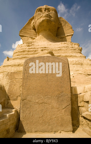 Il sogno Stele di Thuthmosis IV tra le zampe della Sfinge come si vede dalla Sfinge Enclosure. Giza, Egitto Foto Stock