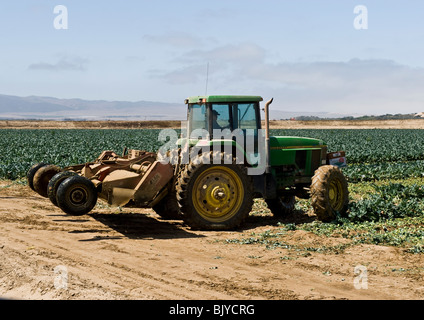Contadino nel trattore con macchinari per l'agricoltura la raccolta e l'aratura broccoli piantagione in una grande fattoria nella parte orientale della California. Foto Stock