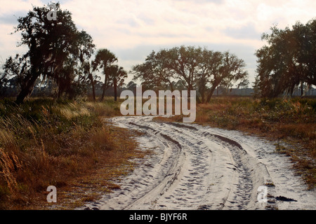 Una strada e sentiero escursionistico in Myakka River State Park in Florida USA Foto Stock