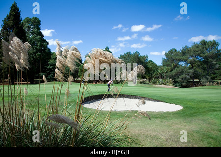 Wairakei International Golf Course si trova a cinque minuti di auto da Huka Lodge Taupo, Nuova Zelanda Foto Stock