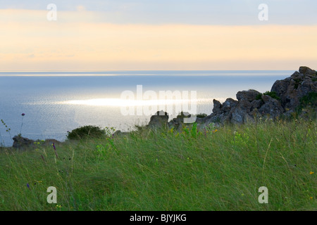 Erbe nelle praterie vicino a mattina estate mare costa Foto Stock