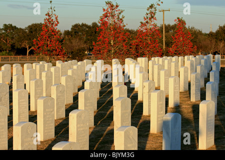 Sarasota Cimitero Nazionale in Florida USA Foto Stock