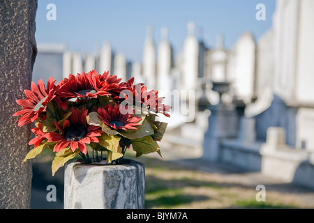 Rosso fiori di seta accanto a una lapide in un cimitero di New Orleans, sullo sfondo di una fila di lapidi Foto Stock