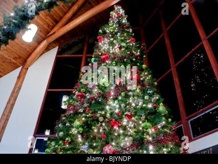 Questa immagine drammatica è molto di una grande piscina interna albero di Natale con luci, ornamenti, sfere, quadrato doni e più riflesso. Foto Stock