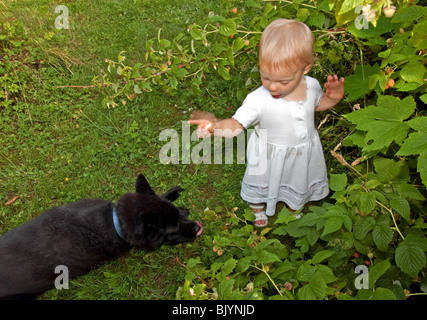 Questo grazioso 18 mese toddler vecchia ragazza è che indossa un lungo abito bianco e sandali durante lo scuotimento di un dito e scolding un cane da compagnia. Foto Stock