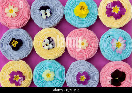 Tortini di colorati e commestibile fiori di primavera Foto Stock